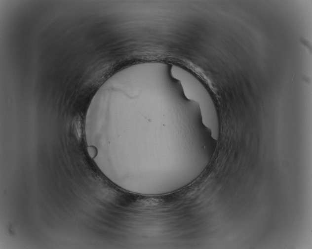 X0000091890069200709191225