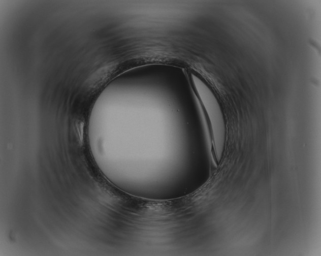 X0000091890070200709191225