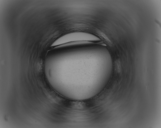 X0000091890073200709191225