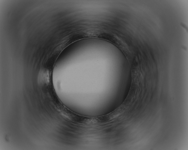 X0000091890075200709191225