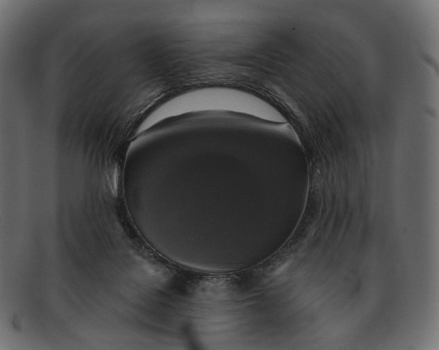 X0000091890076200709191225