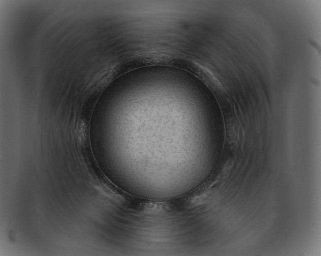 X0000091890077200709191225