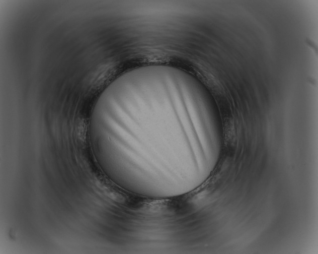 X0000091890078200709191226