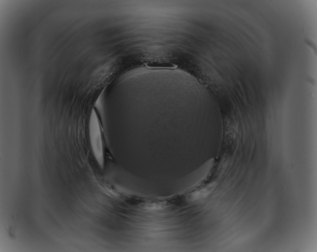 X0000091890080200709191226