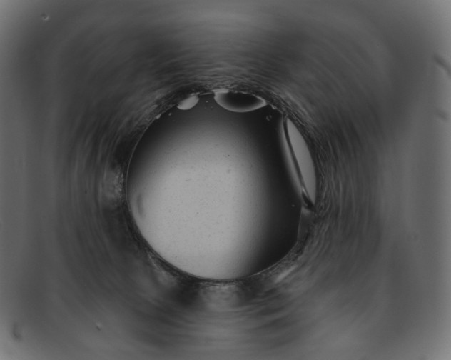 X0000091890081200709191226