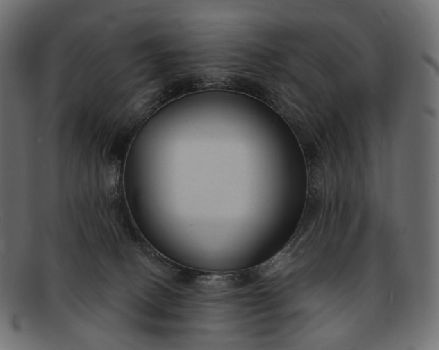 X0000091890082200709191226