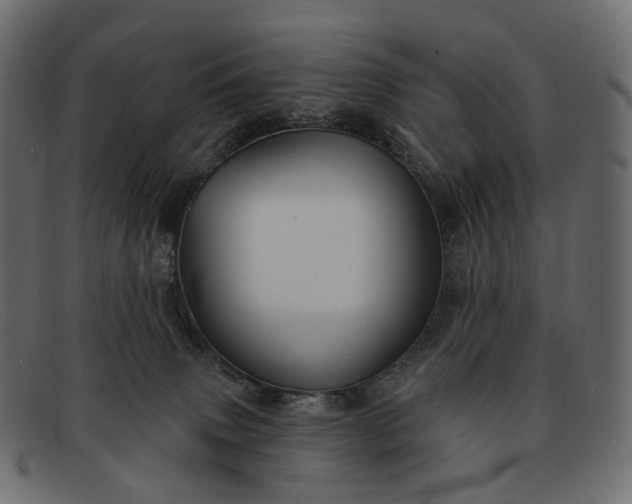 X0000091890083200709191226