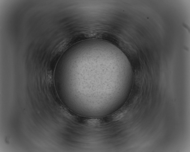 X0000091890085200709191226
