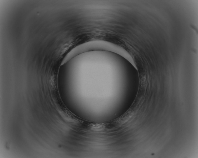 X0000091890088200709191226