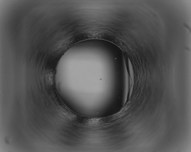 X0000091890090200709191226