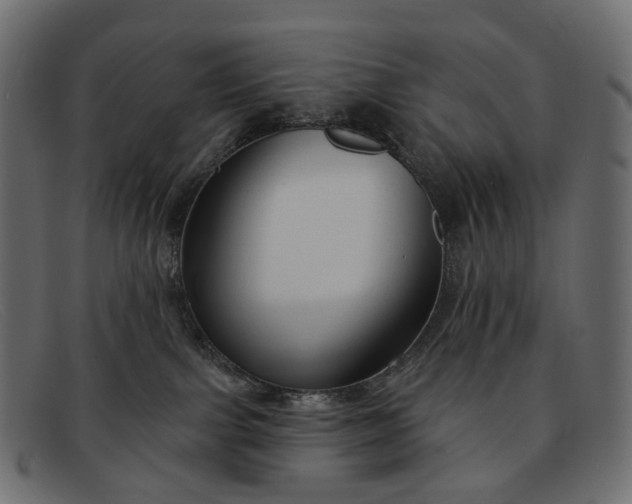 X0000091890091200709191226