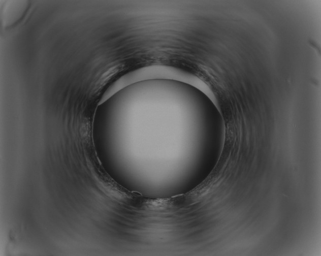X0000091890092200709191226