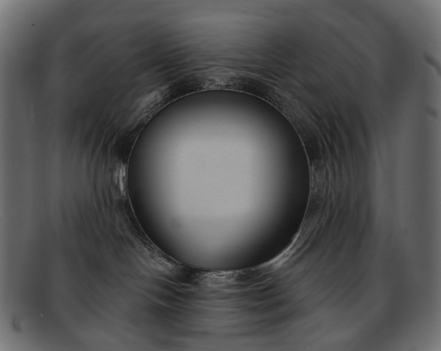 X0000091890094200709191226