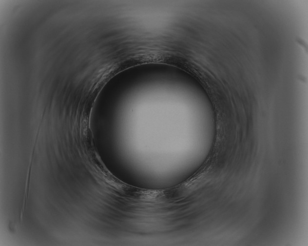 X0000091890096200709191226