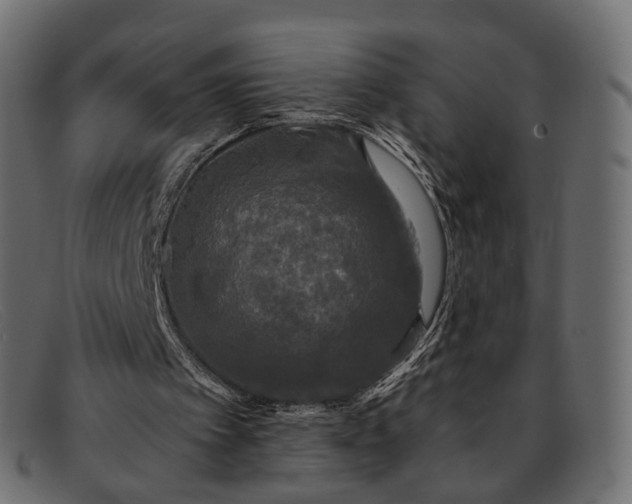 X0000091890097200709191225