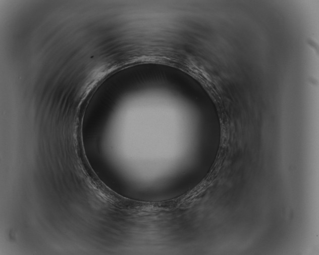X0000091890098200709191225
