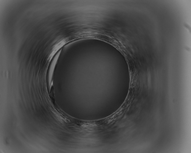 X0000091890099200709191225
