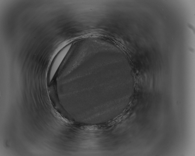 X0000091890100200709191225
