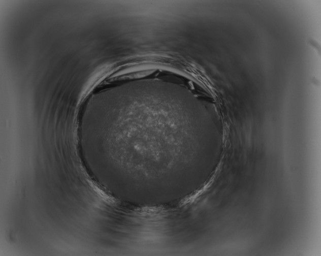 X0000091890101200709191225