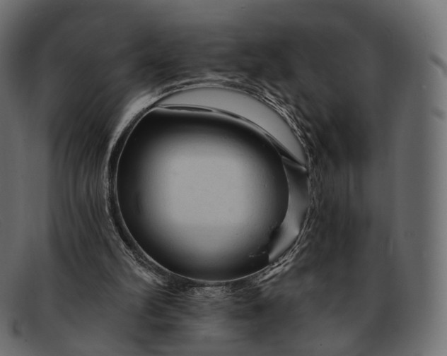 X0000091890102200709191225