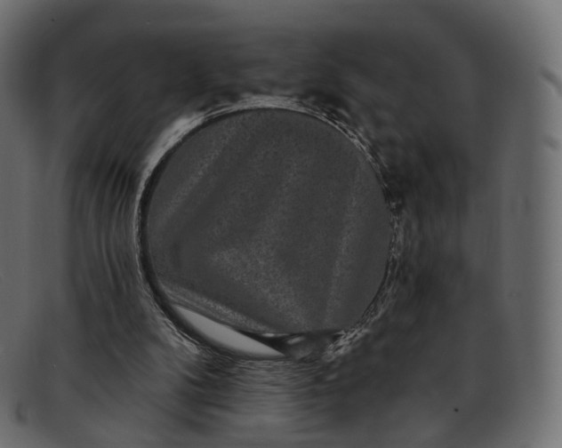 X0000091890104200709191225