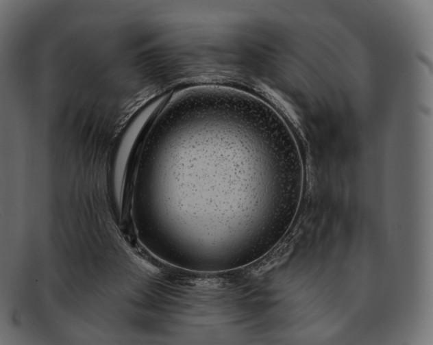 X0000091890105200709191225