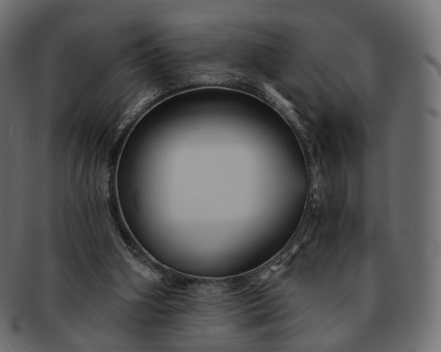 X0000091890106200709191225