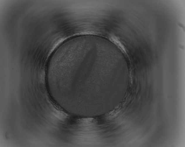X0000091890108200709191225