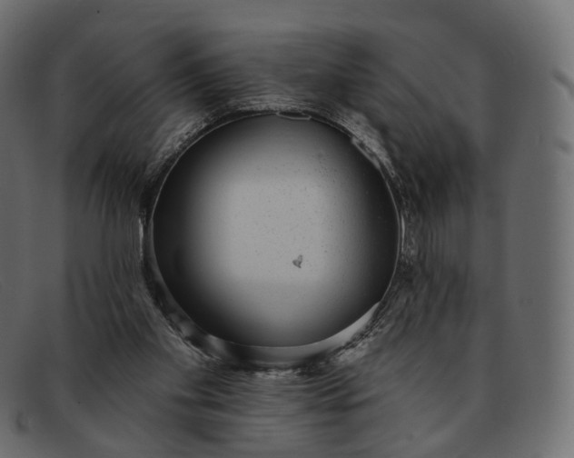 X0000091890109200709191225