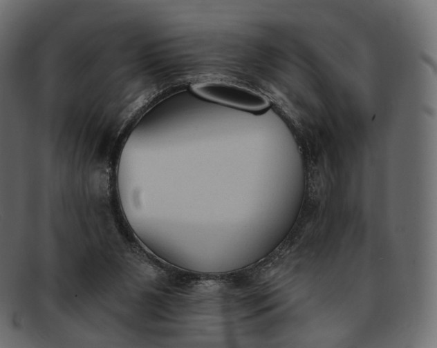 X0000091890111200709191225