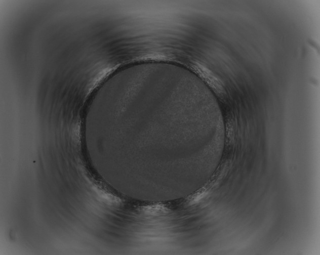 X0000091890112200709191225