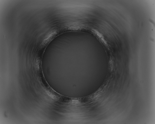 X0000091890114200709191225
