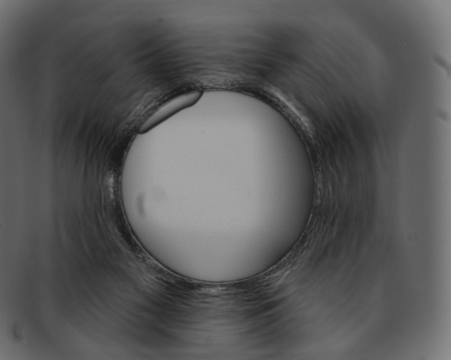 X0000091890117200709191225