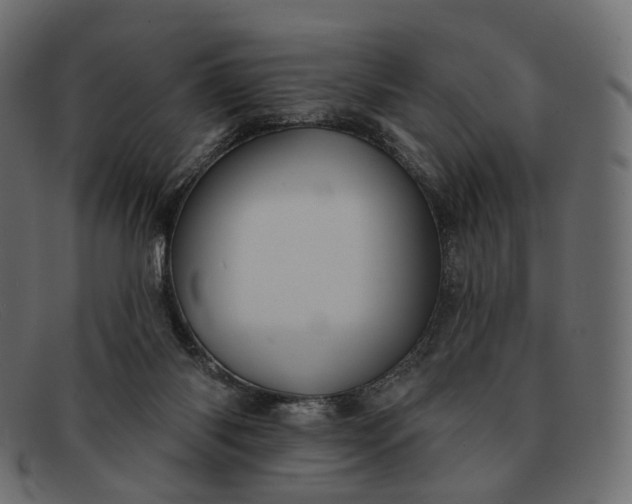 X0000091890118200709191225