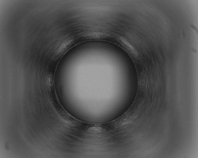 X0000091890119200709191225