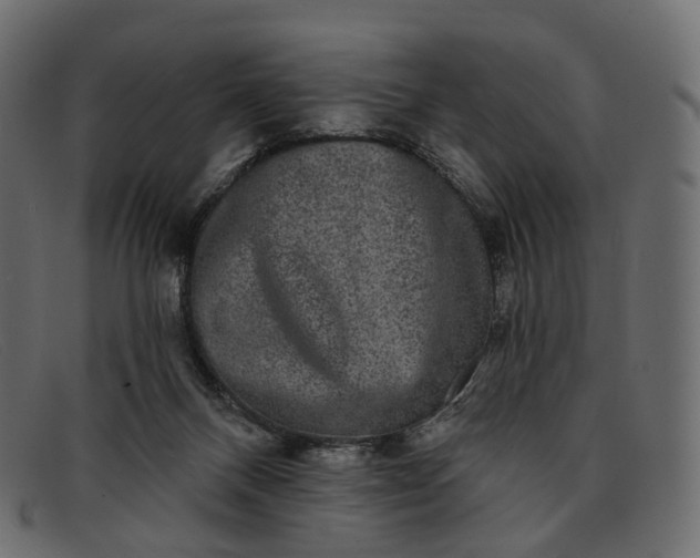 X0000091890120200709191225