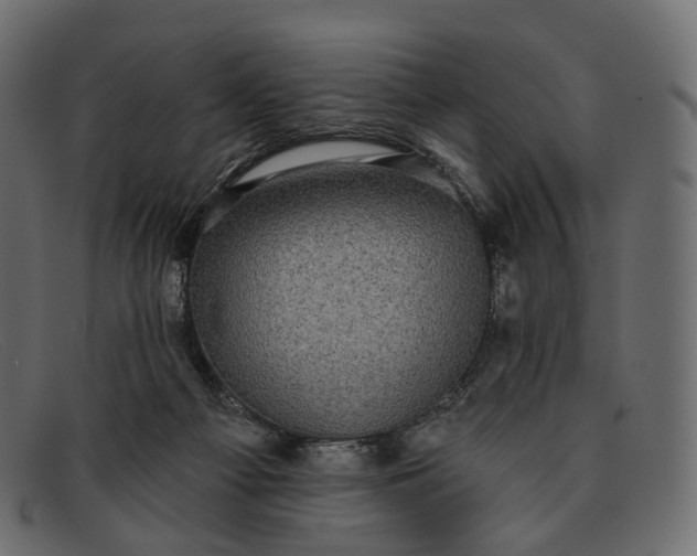 X0000091890121200709191225