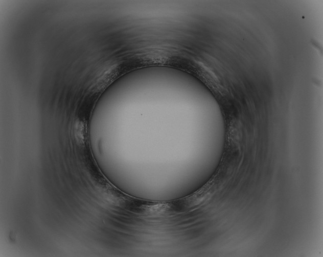 X0000091890122200709191225
