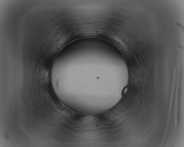 X0000091890123200709191225