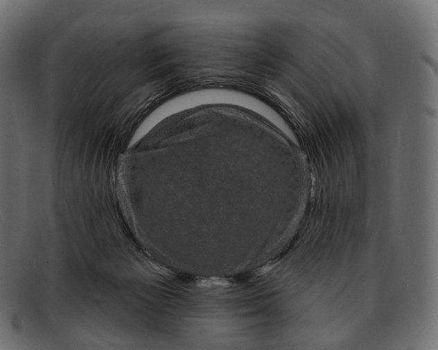X0000091890125200709191225