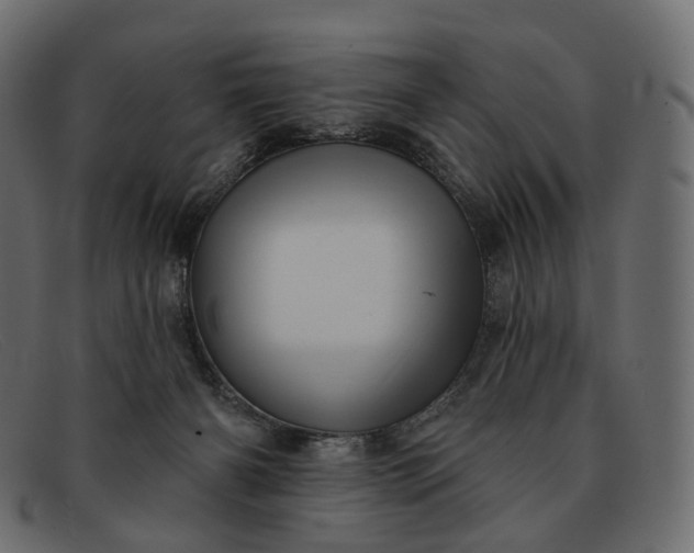 X0000091890126200709191225