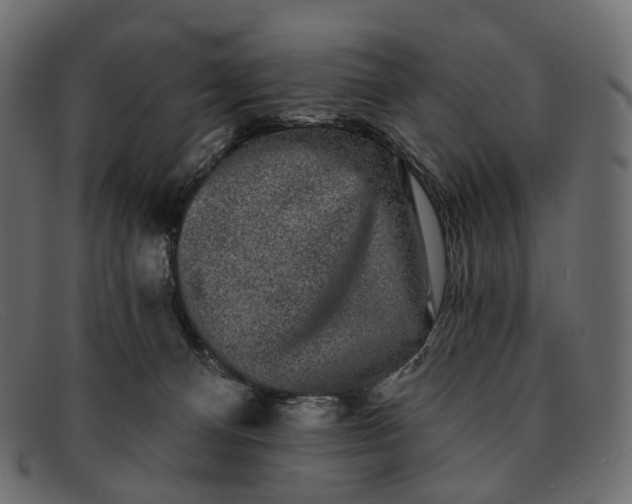 X0000091890128200709191225