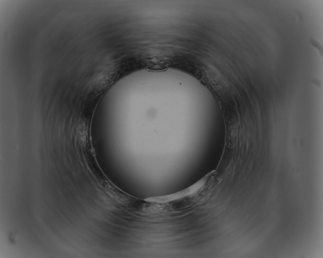 X0000091890129200709191225