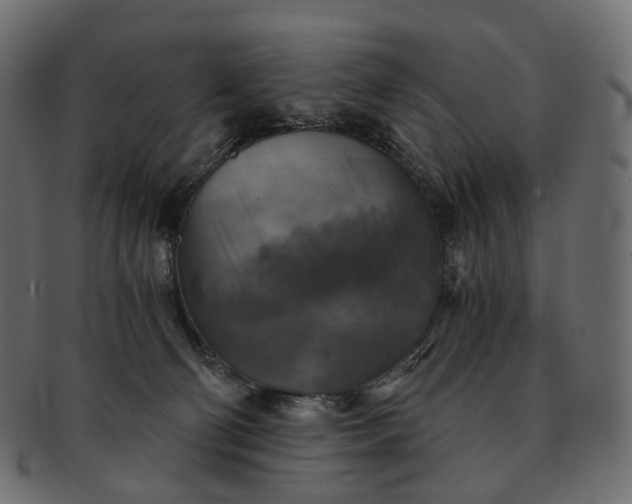 X0000091890130200709191225