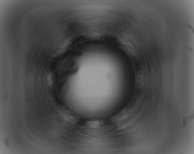 X0000091890131200709191225