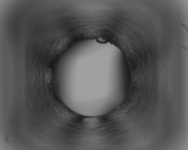 X0000091890133200709191225