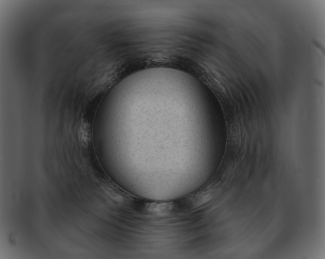 X0000091890135200709191225