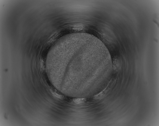 X0000091890136200709191225