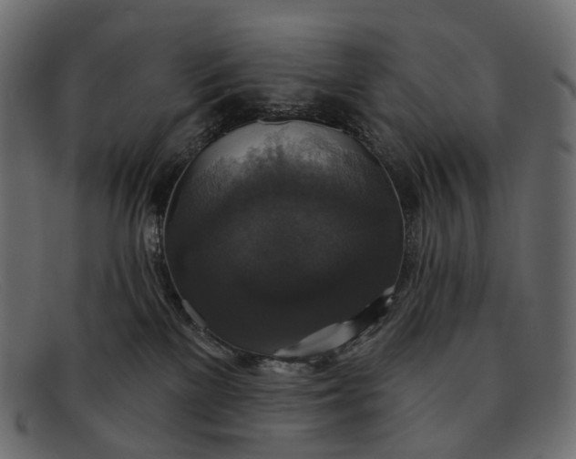 X0000091890137200709191225