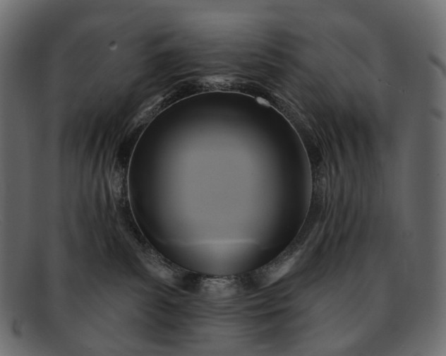 X0000091890139200709191225